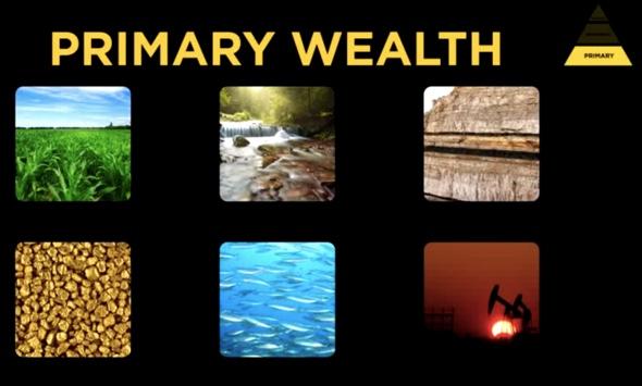 primary wealth examples